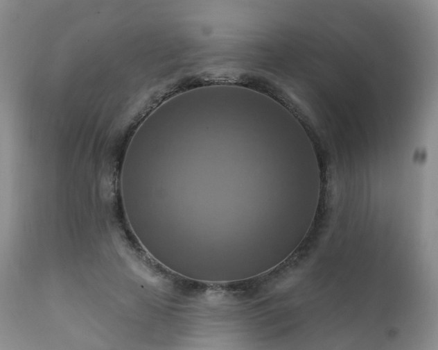 X0000112100641200908111418