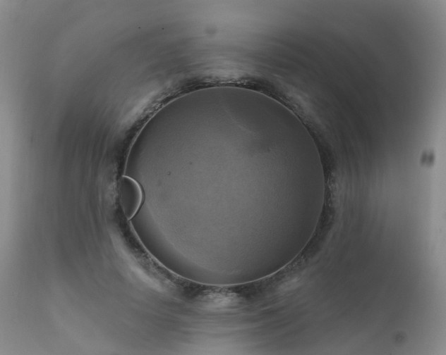 X0000112100642200908111418
