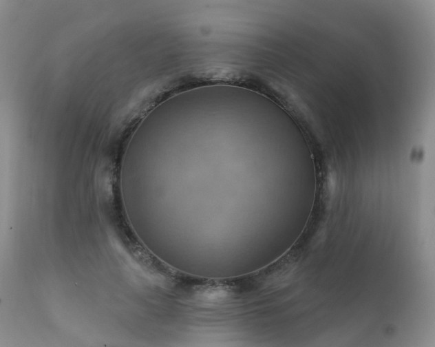 X0000112100643200908111418