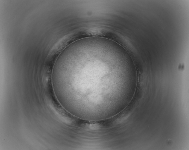 X0000112100645200908111418