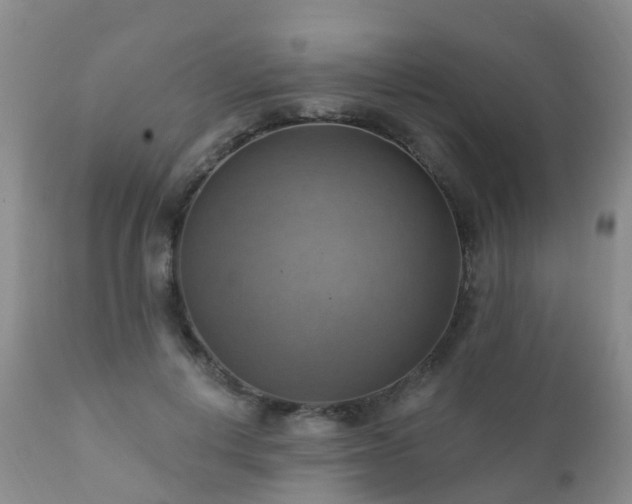X0000112100648200908111418