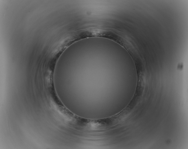 X0000112100650200908111418