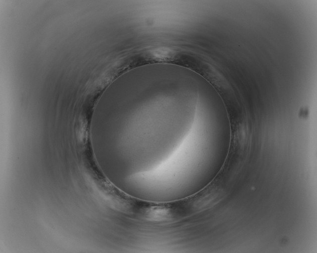 X0000112100651200908111418
