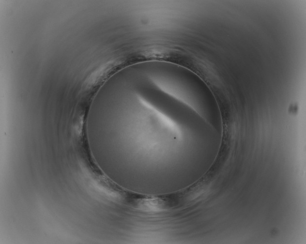 X0000112100652200908111418