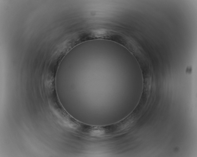 X0000112100653200908111418