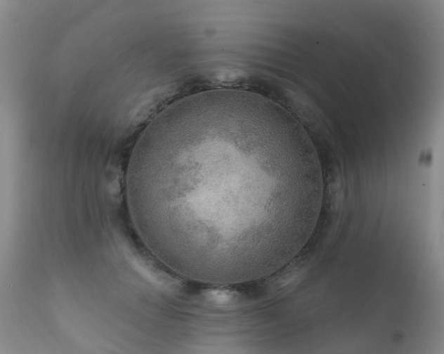 X0000112100654200908111418