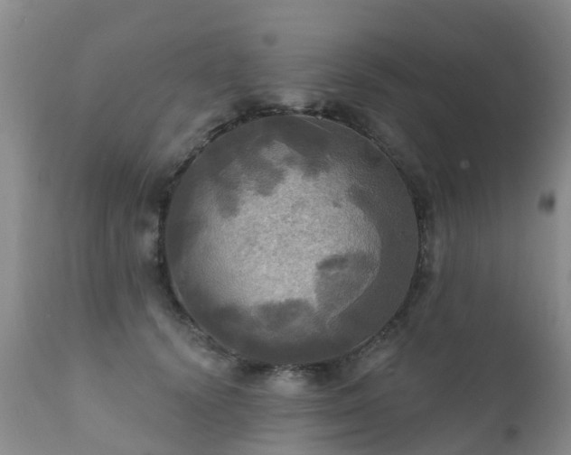 X0000112100656200908111418