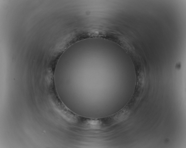 X0000112100659200908111419