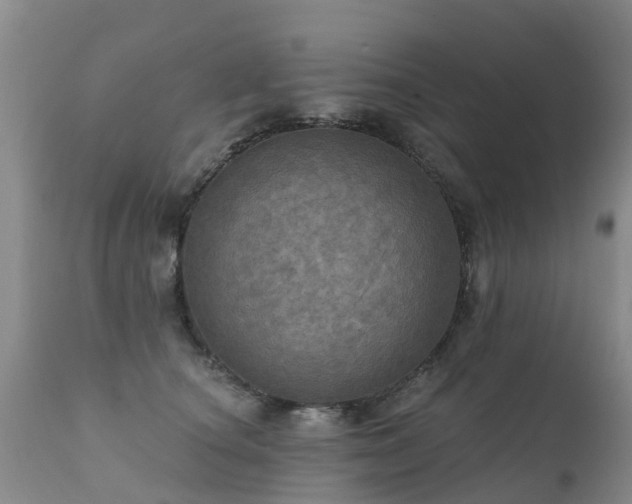X0000112100660200908111419