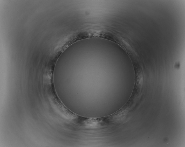 X0000112100661200908111419