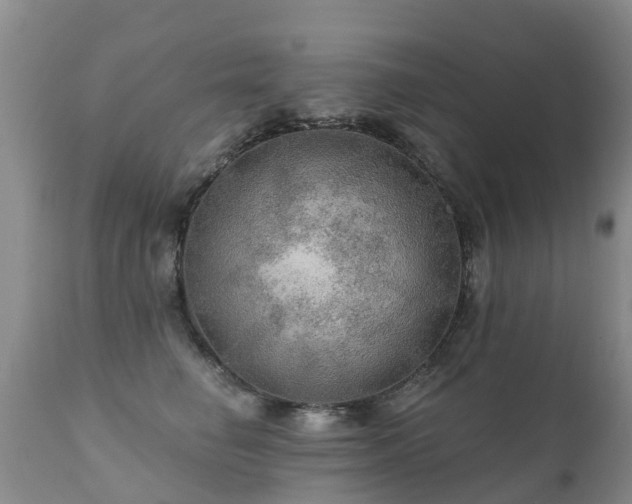 X0000112100662200908111419