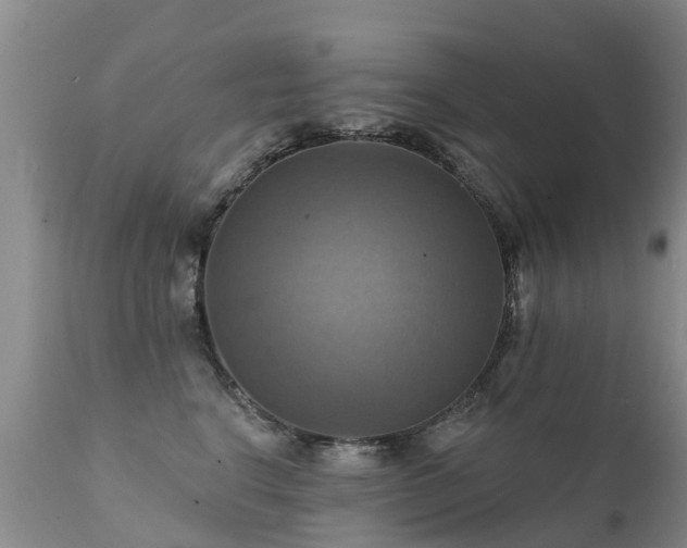 X0000112100664200908111419
