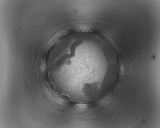 X0000112100665200908111419