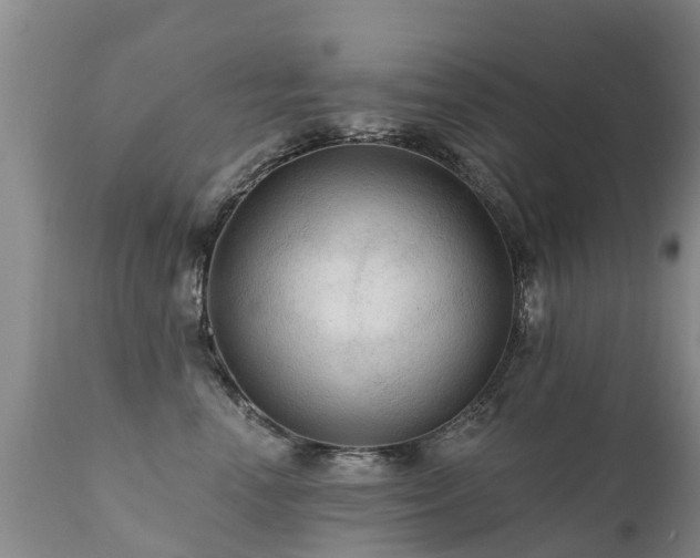 X0000112100666200908111419