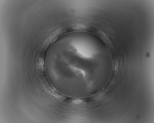 X0000112100669200908111419