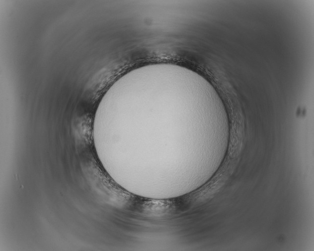 X0000112100672200908111419