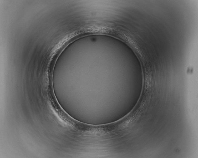 X0000112100674200908111418