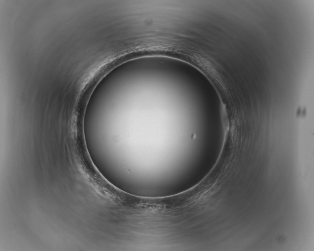 X0000112100676200908111418