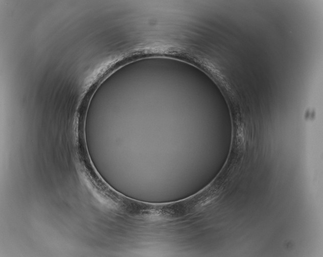X0000112100678200908111418