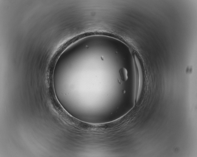 X0000112100680200908111418