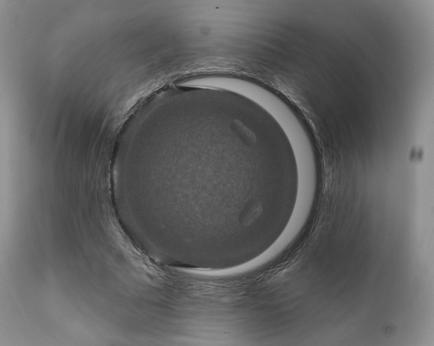 X0000112100681200908111418