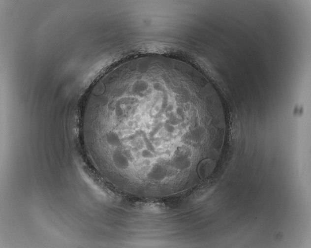 X0000112100683200908111418