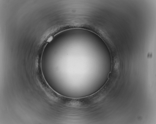X0000112100685200908111418