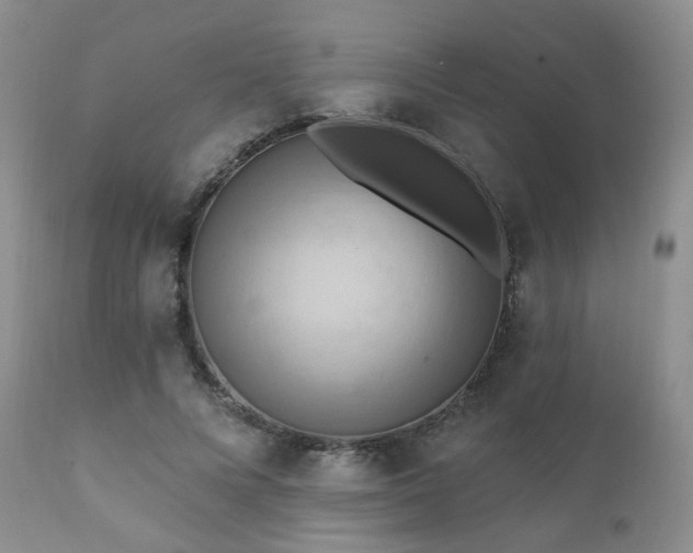 X0000112100688200908111418