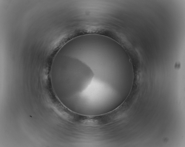 X0000112100691200908111418