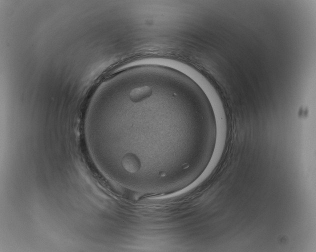 X0000112100692200908111418