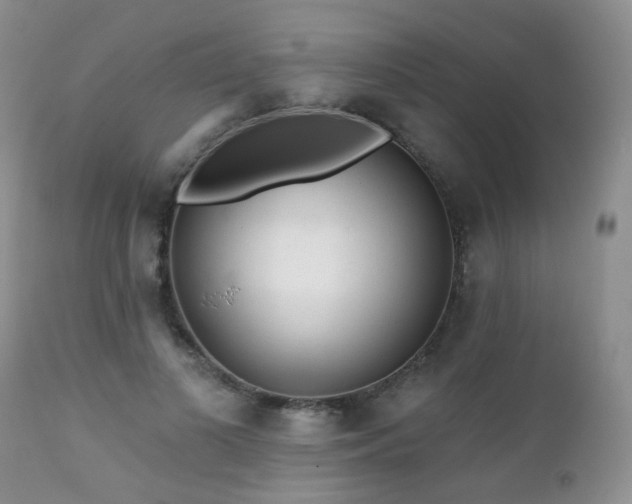 X0000112100693200908111418