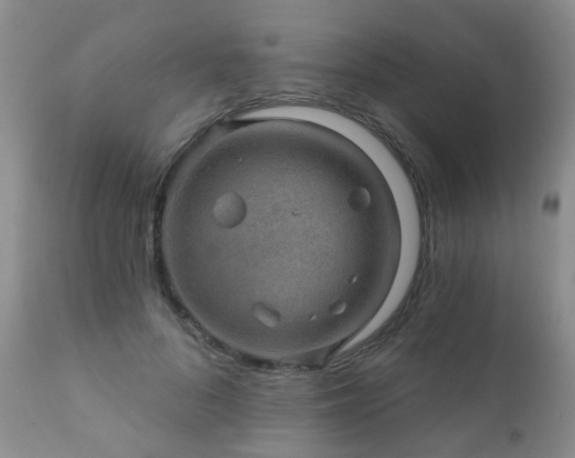 X0000112100696200908111418