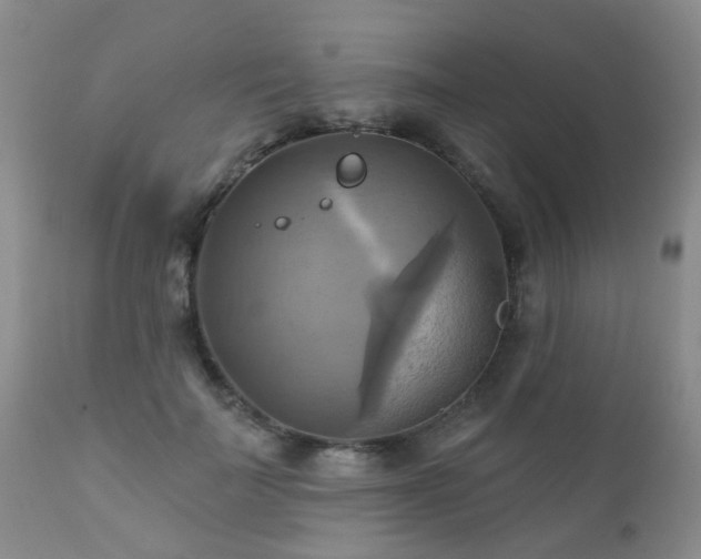 X0000112100699200908111418