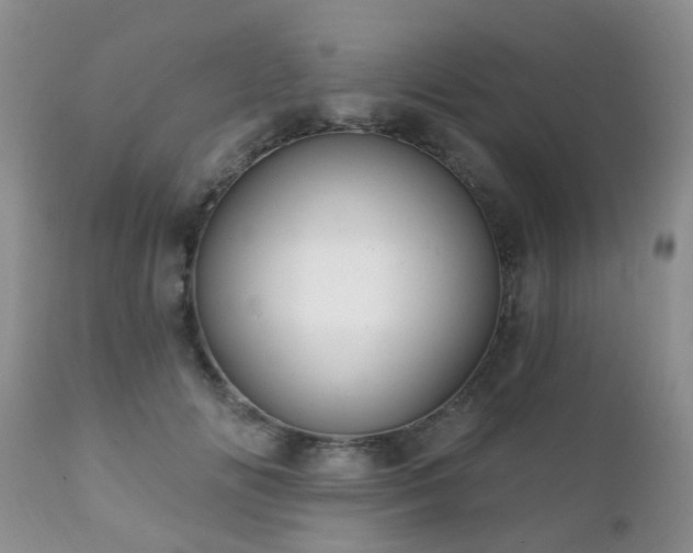 X0000112100702200908111417