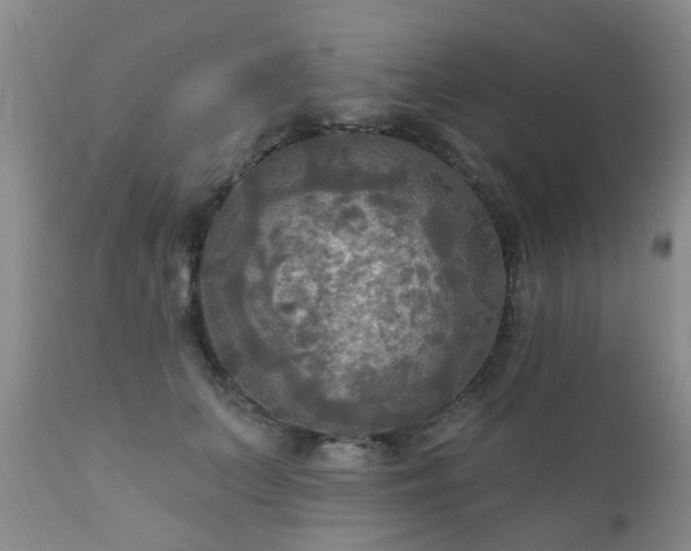 X0000112100703200908111417