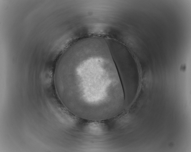 X0000112100708200908111417