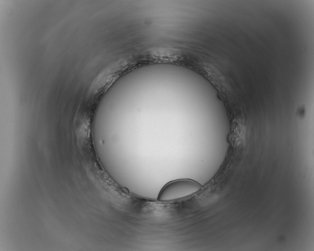 X0000112100713200908111417