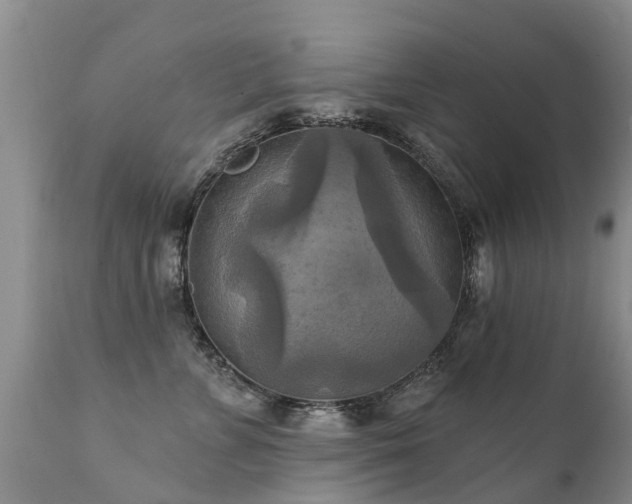 X0000112100715200908111417