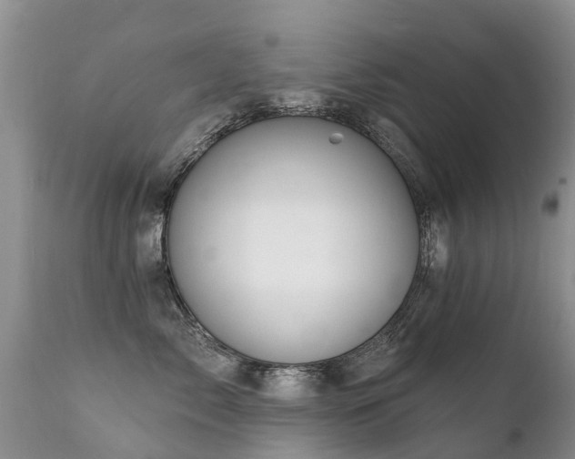 X0000112100717200908111417