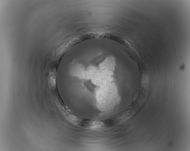 X0000112100719200908111417