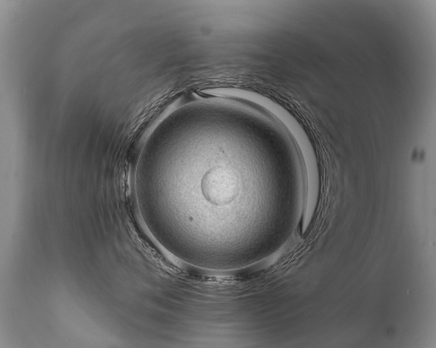 X0000112100720200908111417