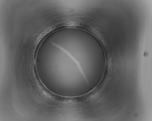 X0000112100721200908111416