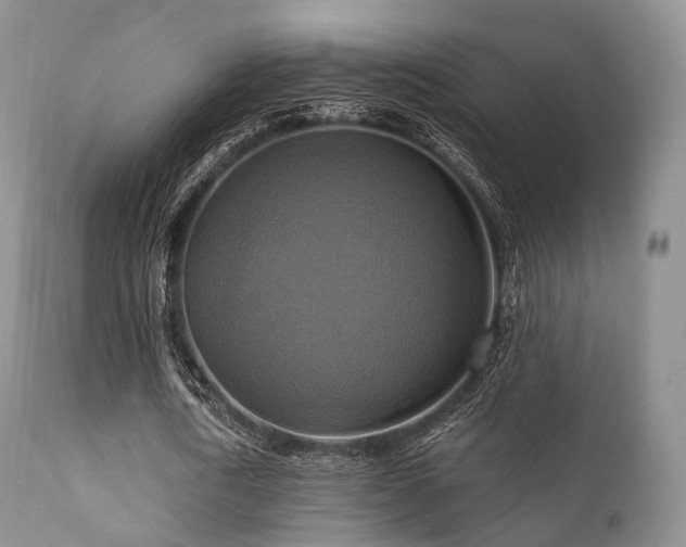 X0000112100722200908111416
