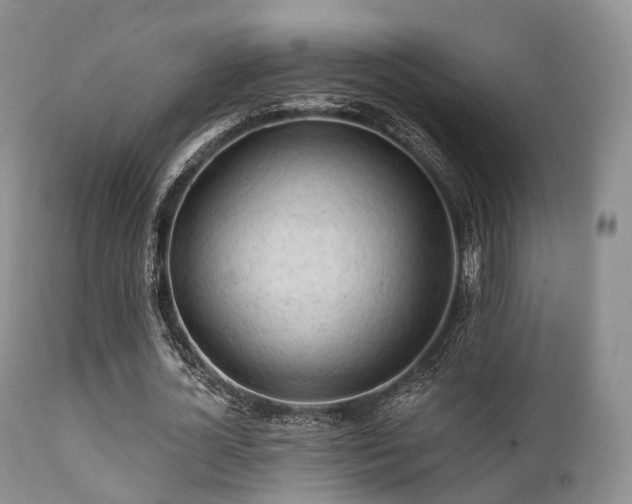 X0000112100724200908111416