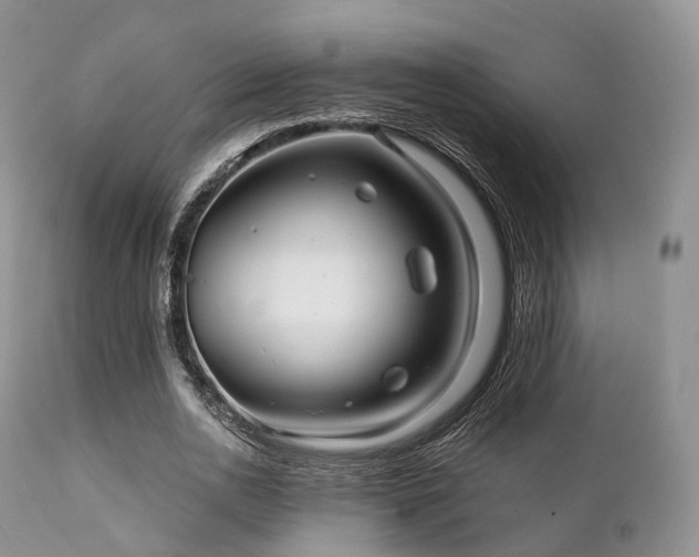 X0000112100726200908111416