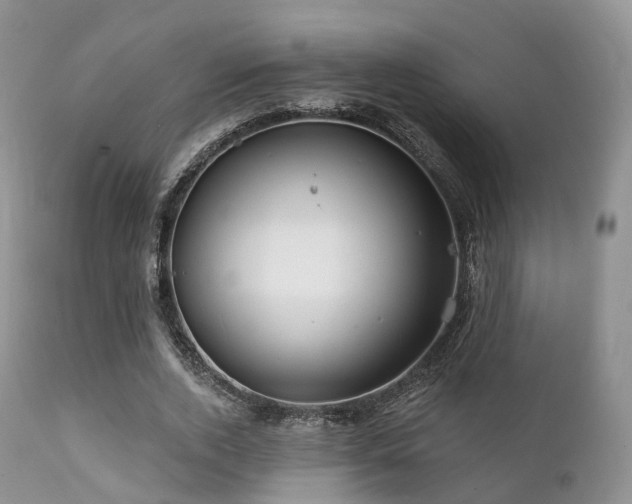 X0000112100728200908111416