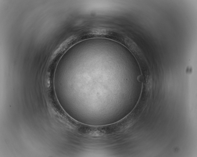 X0000112100731200908111417