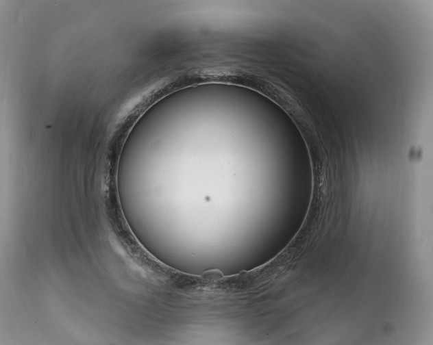 X0000112100732200908111417