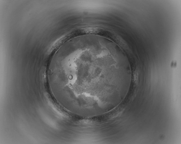 X0000112100733200908111417