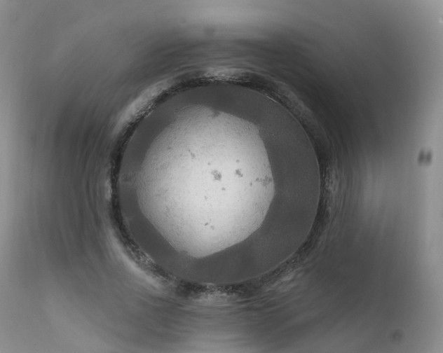 X0000112100734200908111417
